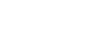 IVAO